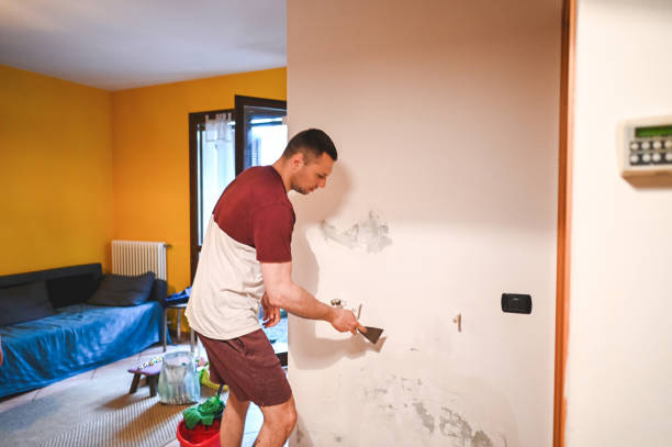 Best Health and Safety Mold Remediation in Wesley Chapel, NC